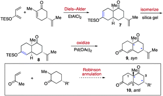 Graphical abstract: Permuting Diels–Alder and Robinson annulation stereopatterns