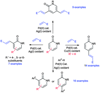 Graphical abstract: Palladium-catalyzed selective oxidative olefination and arylation of 2-pyridones