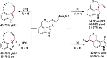 Graphical abstract: Diversity oriented synthesis of indole-based peri-annulated compounds via allylic alkylation reactions