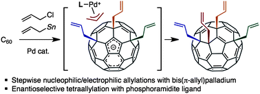 Graphical abstract: Palladium-catalyzed tetraallylation of C60 with allyl chloride and allylstannane: mechanism, regioselectivity, and enantioselectivity