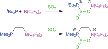 Graphical abstract: Reactions of phosphorus/boron frustrated Lewis pairs with SO2