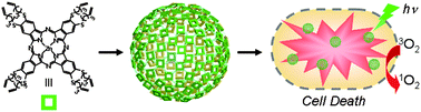 Graphical abstract: Self-assembled, covalently linked, hollow phthalocyanine nanospheres