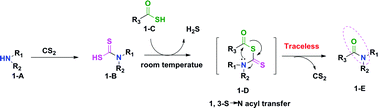 Graphical abstract: A traceless approach to amide and peptide construction from thioacids and dithiocarbamate-terminal amines