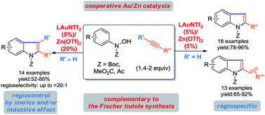 Graphical abstract: Combining Zn ion catalysis with homogeneous gold catalysis: an efficient annulation approach to N-protected indoles