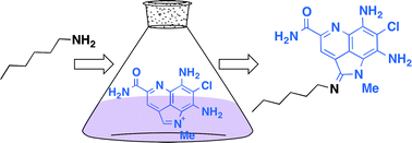 Graphical abstract: Precursor-directed generation of amidine containing ammosamide analogs: ammosamides E–P