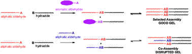 Graphical abstract: Self-organisation effects in dynamic nanoscale gels self-assembled from simple mixtures of commercially available molecular-scale components