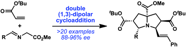 Graphical abstract: Catalytic asymmetric synthesis of highly substituted pyrrolizidines