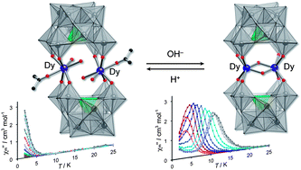 Graphical abstract: Reversible switching of single-molecule magnet behaviors by transformation of dinuclear dysprosium cores in polyoxometalates