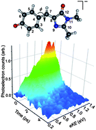 Graphical abstract: Taking the green fluorescence out of the protein: dynamics of the isolated GFP chromophore anion