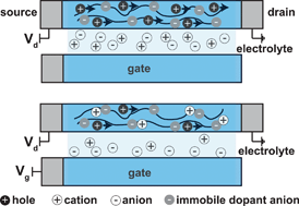 Graphical abstract: New opportunities for organic electronics and bioelectronics: ions in action