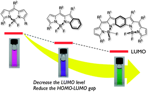 Graphical abstract: Benzene-fused BODIPY and fully-fused BODIPY dimer: impacts of the ring-fusing at the b bond in the BODIPY skeleton