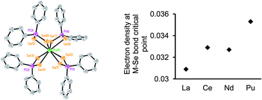 Graphical abstract: Uncovering f-element bonding differences and electronic structure in a series of 1 : 3 and 1 : 4 complexes with a diselenophosphinate ligand