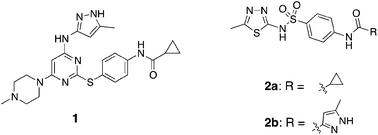 Graphical abstract: De novo design and optimization of Aurora A kinase inhibitors