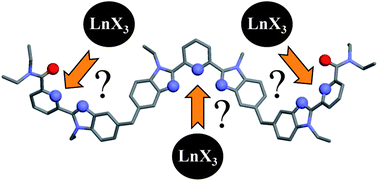 Graphical abstract: Lanthanide hexafluoroacetylacetonates vs. nitrates for the controlled loading of luminescent polynuclear single-stranded oligomers