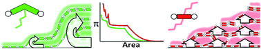 Graphical abstract: Stable, ordered multilayers of partially fluorinated bolaamphiphiles at the air–water interface