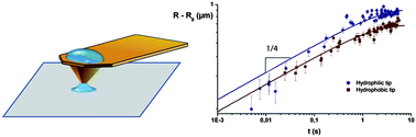 Graphical abstract: Writing with liquid using a nanodispenser: spreading dynamics at the sub-micron scale