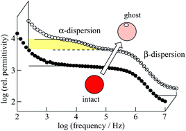 Graphical abstract: Dielectric spectroscopy reveals nanoholes in erythrocyte ghosts