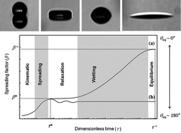 Graphical abstract: The impact and spreading of a small liquid drop on a non-porous substrate over an extended time scale