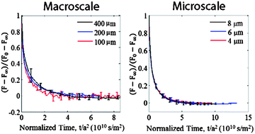 Graphical abstract: From macro- to microscale poroelastic characterization of polymeric hydrogels via indentation