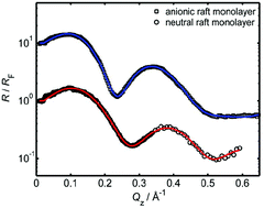 Graphical abstract: Detection of lipid raft domains in neutral and anionic Langmuir monolayers and bilayers of complex lipid composition