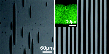 Graphical abstract: Creasing instability of elastomer films