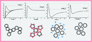 Graphical abstract: Stable clusters in liposomic systems