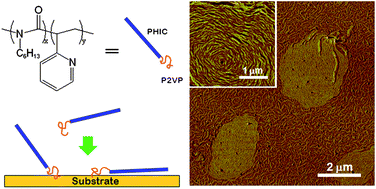 Graphical abstract: Adsorption/desorption-induced phase transformation in the self-assembled monolayers of an amphiphilic rod–coil block copolymer