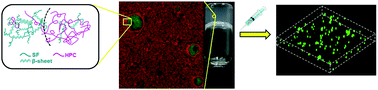 Graphical abstract: Injectable thixotropic hydrogel comprising regenerated silk fibroin and hydroxypropylcellulose