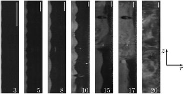 Graphical abstract: Shear-banding in surfactant wormlike micelles: elastic instabilities and wall slip