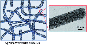 Graphical abstract: One-pot synthesis of noble metal nanoparticles and their ordered self-assembly nanostructures