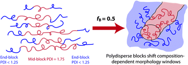 Graphical abstract: Polydispersity-driven shift in the lamellar mesophase composition window of PEO-PB-PEO triblock copolymers