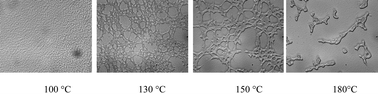 Graphical abstract: Viscoelastic effects in thermoplastic poly(styrene-acrylonitrile)-modified epoxy–DDM system during reaction induced phase separation