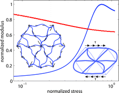 Graphical abstract: Semiflexible filament networks viewed as fluctuating beam-frames