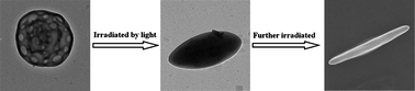 Graphical abstract: Self-assembly and photo-responsive behavior of novel ABC2-type block copolymers containing azobenzene moieties