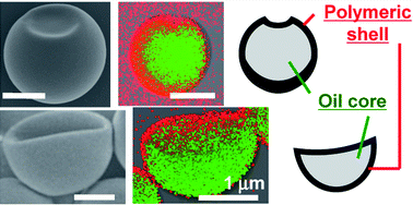 Graphical abstract: Preparation of oil-containing, polymeric particles having a single depression with various shapes