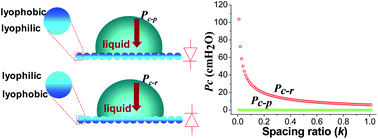 Graphical abstract: Anisotropic liquid penetration arising from a cross-sectional wettability gradient