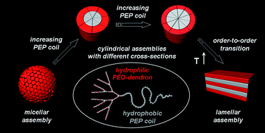 Graphical abstract: Nanostructured poly(ethylene oxide)-like dendron-block-linear poly(ethylene-alt-propylene) copolymers: design, synthesis, and thermal and assembling properties