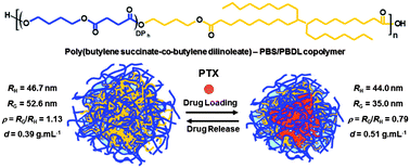 Graphical abstract: Novel “soft” biodegradable nanoparticles prepared from aliphatic based monomers as a potential drug delivery system