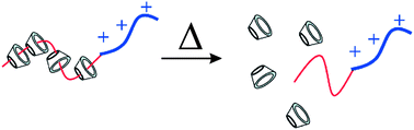 Graphical abstract: Temperature-responsive inclusion complex of cationic PNIPAAM diblock copolymer and γ-cyclodextrin