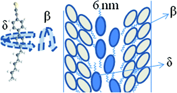 Graphical abstract: Molecular dynamics and morphology of confined 4-heptyl-4′-isothiocyanatobiphenyl liquid crystals