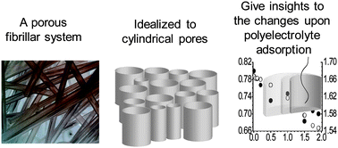 Graphical abstract: Influence of adsorbed polyelectrolytes on pore size distribution of a water-swollen biomaterial