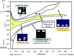 Graphical abstract: PFG-NMR self-diffusion measurements in the single phase channels of a microemulsion system with an anionic–nonionic surfactant mixture