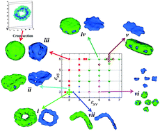 Graphical abstract: Multicompartment micellar aggregates of linear ABC amphiphiles in solvents selective for the C block: a Monte Carlo simulation