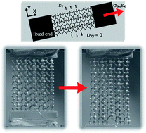 Graphical abstract: A three-dimensional polymer scaffolding material exhibiting a zero Poisson's ratio