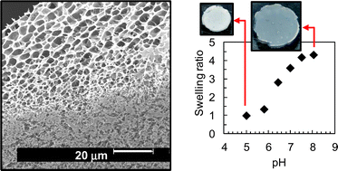 Graphical abstract: Doubly crosslinked hydrogels prepared from pH-responsive vinyl-functionalised hollow particle dispersions