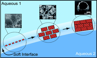 Graphical abstract: Hierarchical materials synthesis at soft all-aqueous interfaces