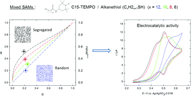 Graphical abstract: Electrocatalytic activity of nitroxyl mixed self-assembled monolayers: combined effects of the nanoscale organization and the composition