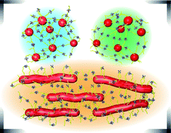 Graphical abstract: Tuning micellar morphology and rheological behaviour of metallo-supramolecular micellar gels