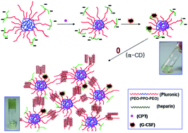 Graphical abstract: Novel supramolecular hydrogel/micelle composite for co-delivery of anticancer drug and growth factor