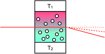 Graphical abstract: Giant thermophoresis of poly(N-isopropylacrylamide) microgel particles